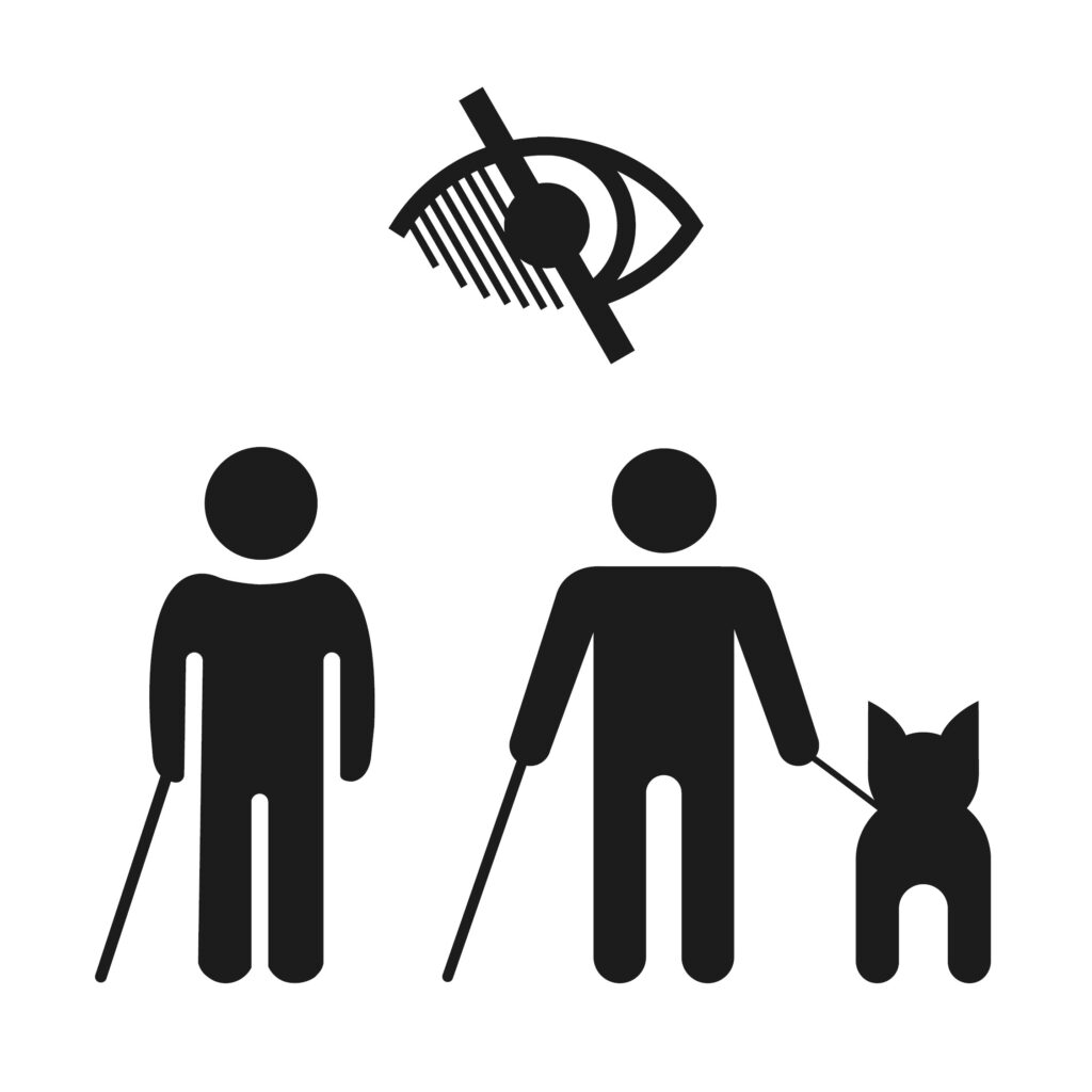 Consulter la page handicap visuel