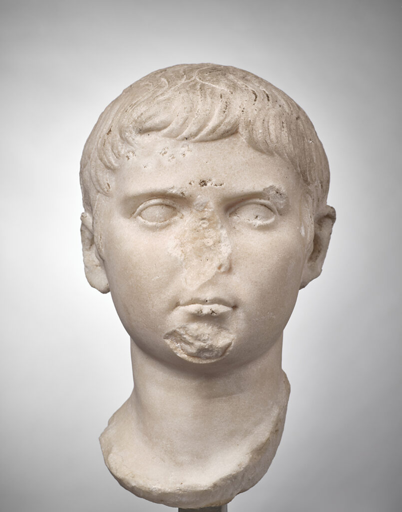 Portrait sculpté d’Agrippa Postumus vu de face. Le portrait en marbre blanc représente un petit garçon. Le menton et le nez sont cassés. La base du cou est arrondie pour être encastrée dans un support. La bouche est petite, avec des lèvres fines et est inexpressive. Les pupilles du garçon ne sont pas représentées : il a les yeux lisses. Son expression est sérieuse. Ses cheveux sont courts. Des mèches de cheveux sont matérialisées et créent du mouvement sur son front. Les mèches s’écartent au-dessus de son œil gauche. Sur sa tempe droite, trois mèches sont légèrement recourbées vers son front.
