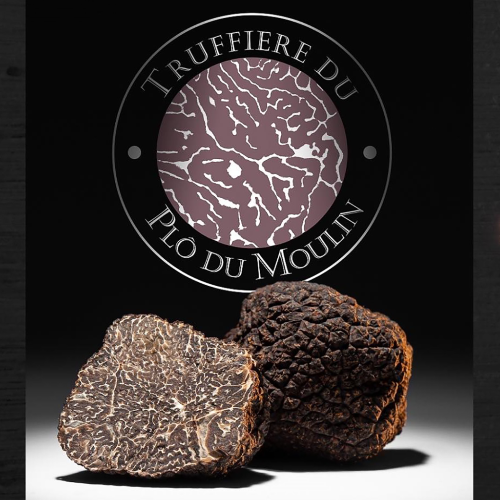 Une truffe coupée en deux et un logo